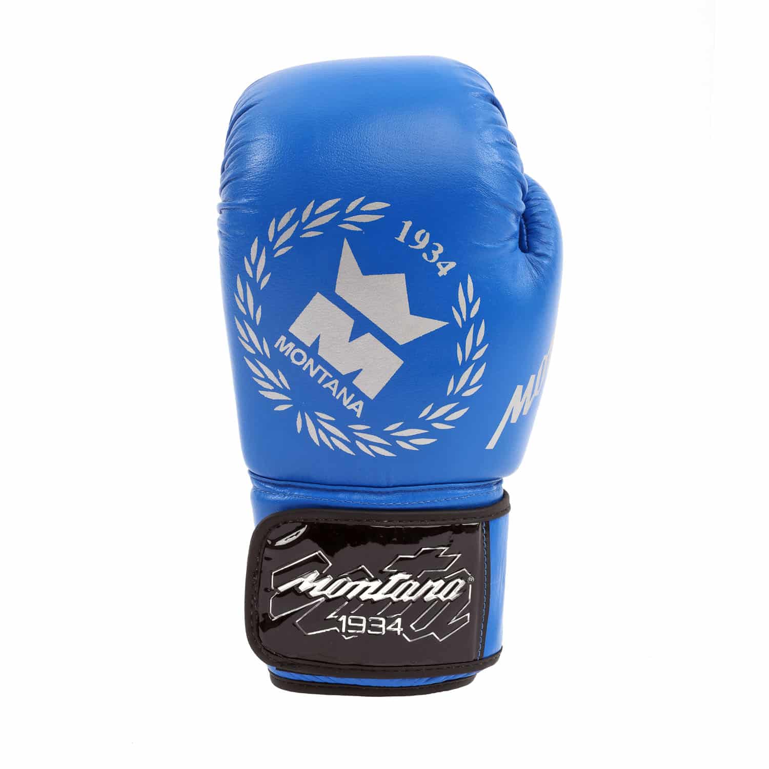 Gants de boxe bleus