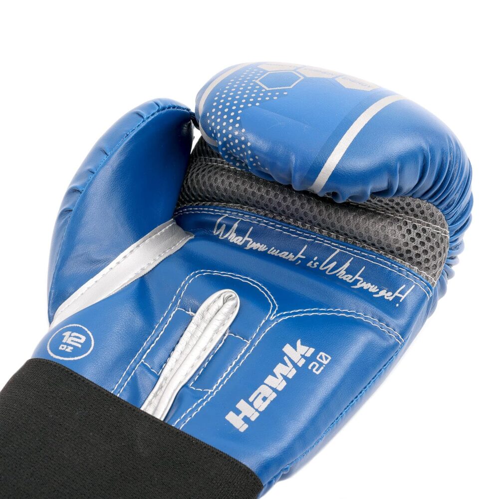 Gants de boxe bleus Montana HAWK idéaux pour débuter en Muay Thai, boxe anglaise ou kick boxing, avec mousse injectée, ventilation optimale, et structure incurvée pour un bon alignement du poing.