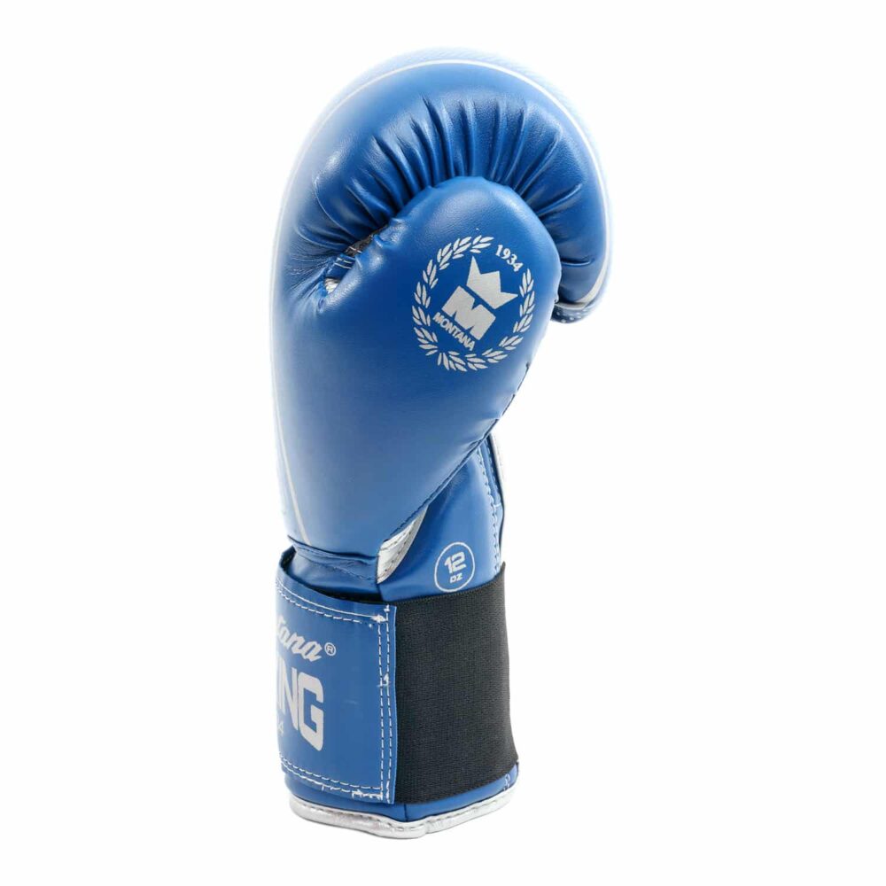 Gants de boxe bleus Montana HAWK pour boxeurs débutants, avec design profilé, coutures renforcées, logo MTA et fermeture élastique à scratch pour une tenue confortable pendant l’entraînement.