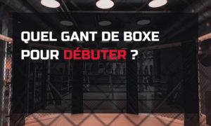 Image mise en avant de l'article de blog "Quel gant de boxe pour débuter"
